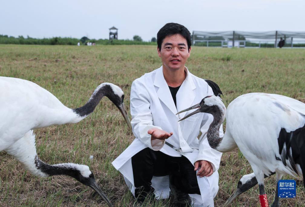 捕鱼游戏捕鱼